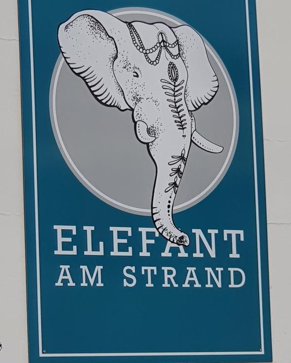 Elefant am Strand